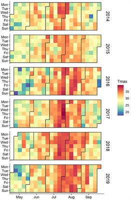 Machine learning-based analysis and prediction of meteorological factors and urban heatstroke diseases